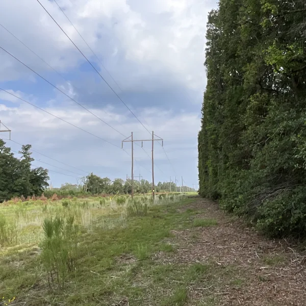 Parker Tract — photo 3
