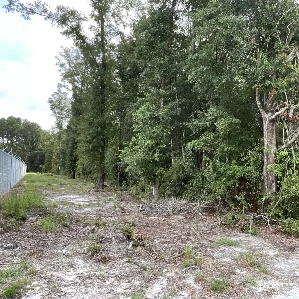 Parker Tract — photo 4