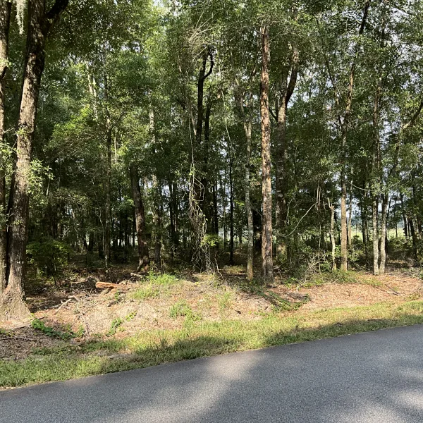 Parker Tract — photo 5