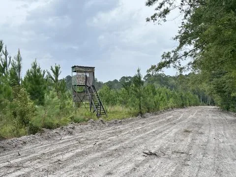 Burnette Tract — Jasper County, South Carolina