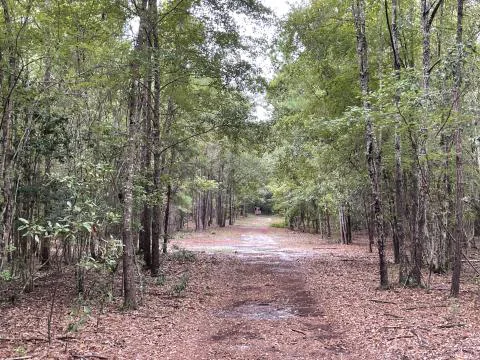 Jay Price Life Estate — Allendale County, South Carolina