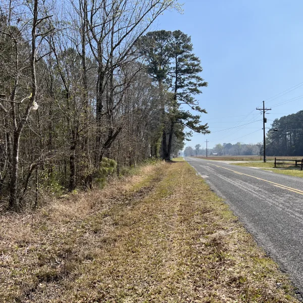 Slater Tract — Hampton County, South Carolina