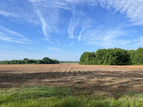 Lebanon Tract — Hampton County, South Carolina