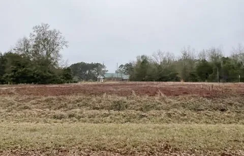 Trowell Fairfax Lot — Allendale County, South Carolina