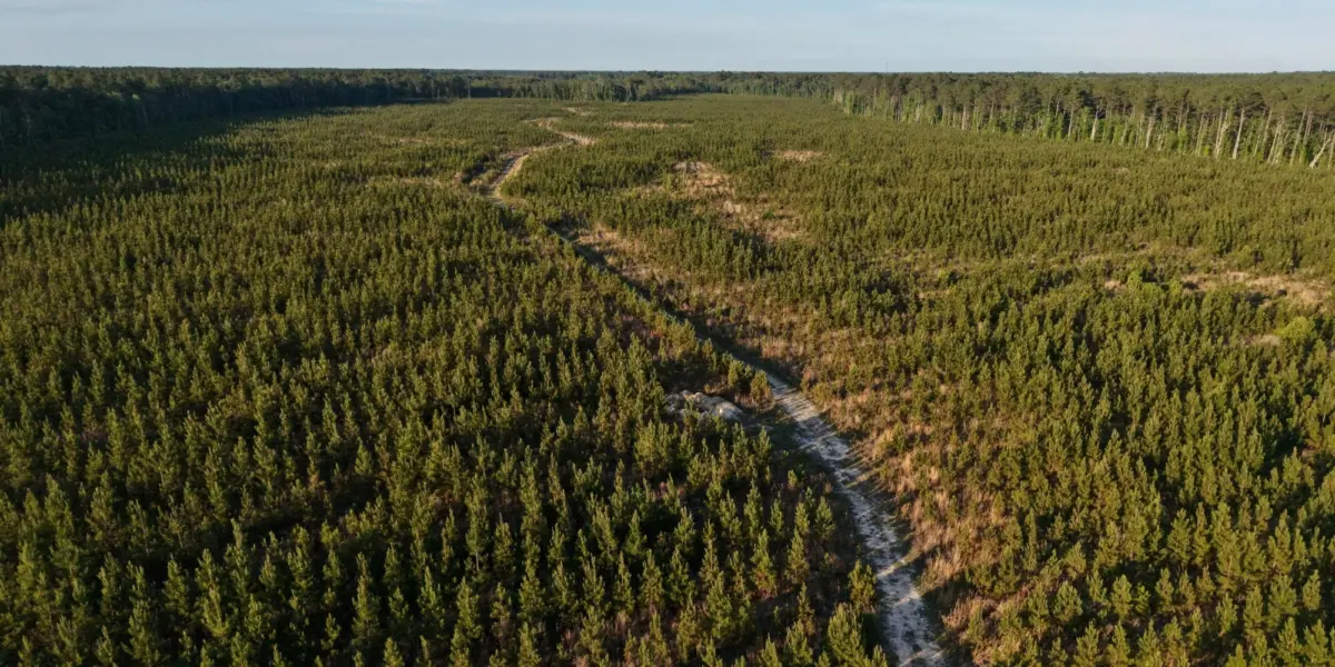 Jasmin Hollow — Jasper County, South Carolina