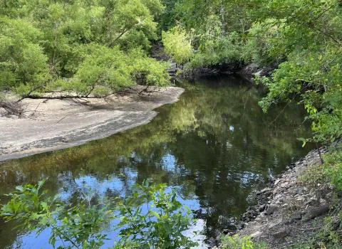 Stanley Tract — Hampton County, South Carolina