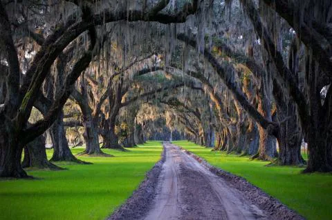 Tomotley Plantation — Beaufort County, South Carolina