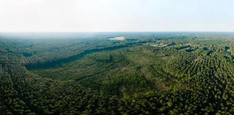 Loblolly Farm — Jasper County, South Carolina