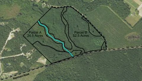 Ramhorn Tract — Hampton County, South Carolina