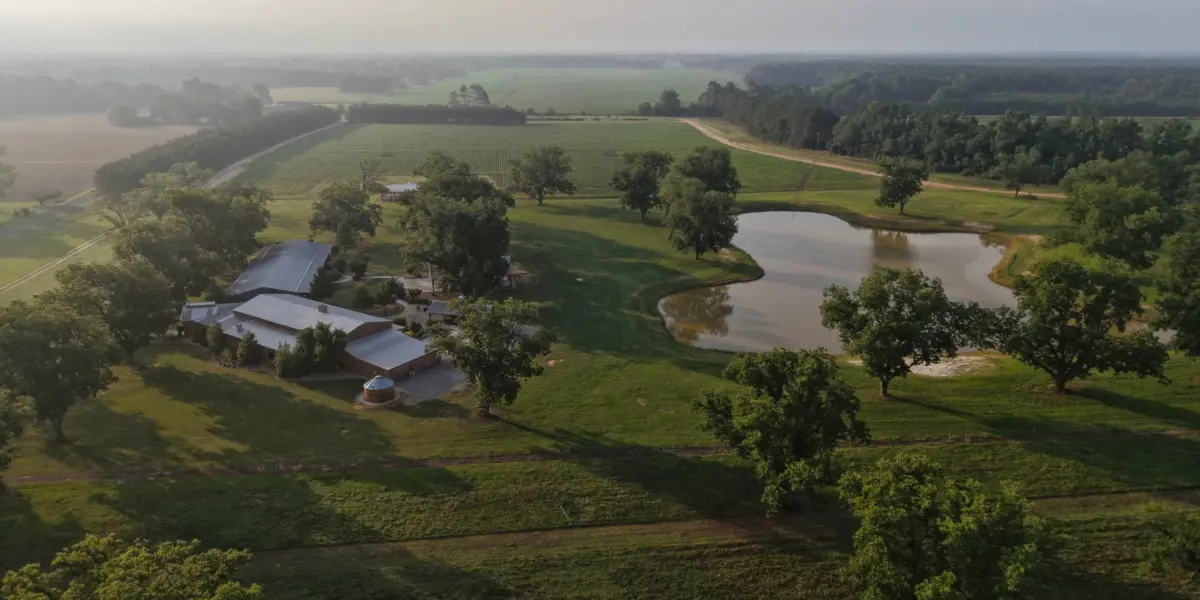 Blackwater — Clarendon County, South Carolina