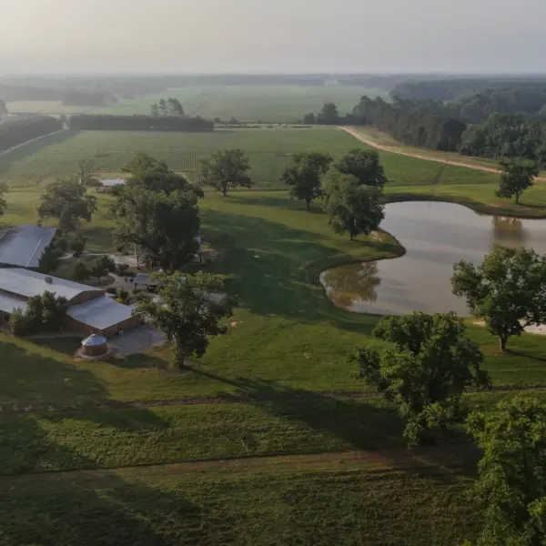 Blackwater — Clarendon County, South Carolina