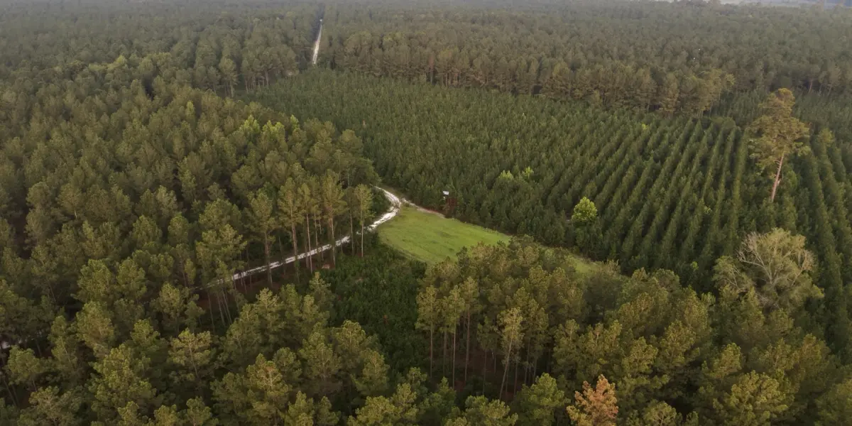 Rum Gully — Colleton County, South Carolina