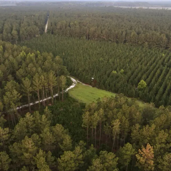 Rum Gully — Colleton County, South Carolina