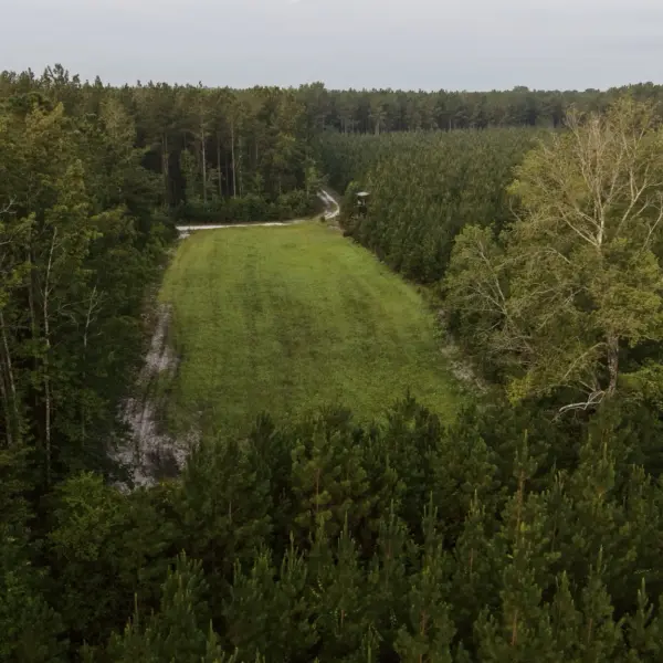 Rum Gully — photo 3