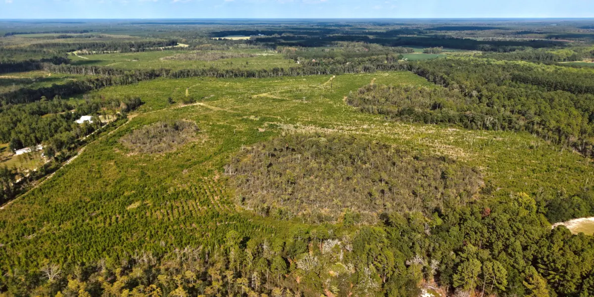 Runs Branch — Screven County, Georgia