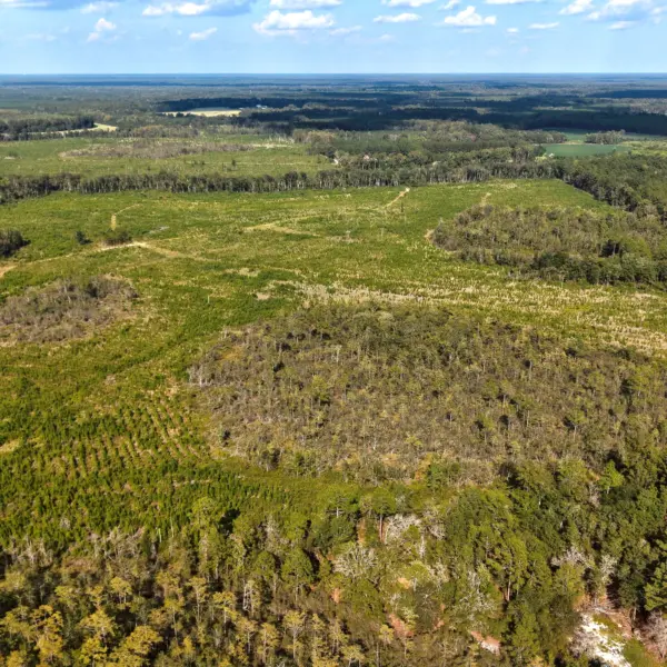 Runs Branch — Screven County, Georgia