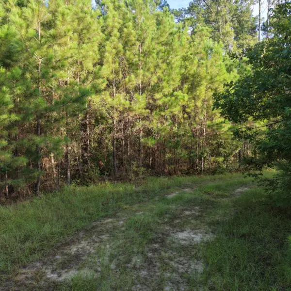 Peters Tree Farm — photo 3