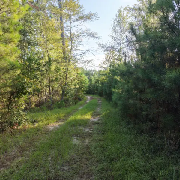 Peters Tree Farm — photo 4