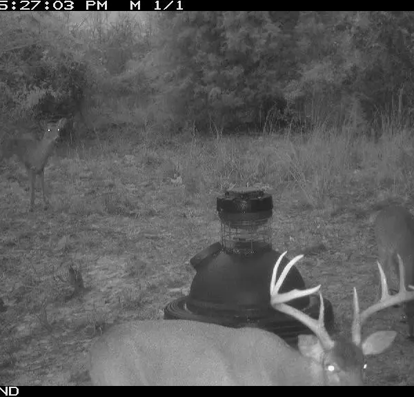 Runs Branch — photo 5